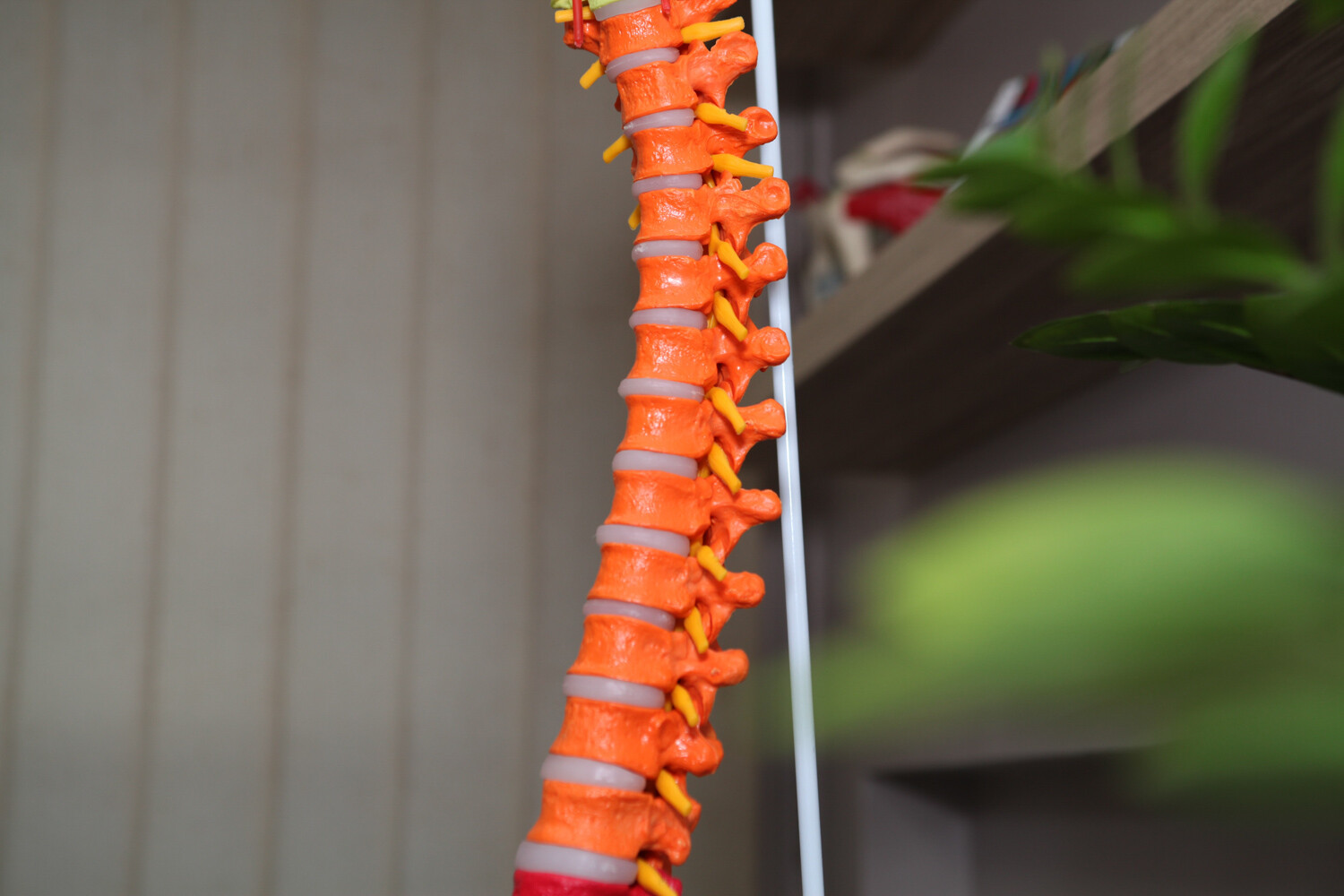 Drive Tech Advisors - Foto - Dr. Armando Pineda - Cirujano Ortopedico - Cirugia de Columna