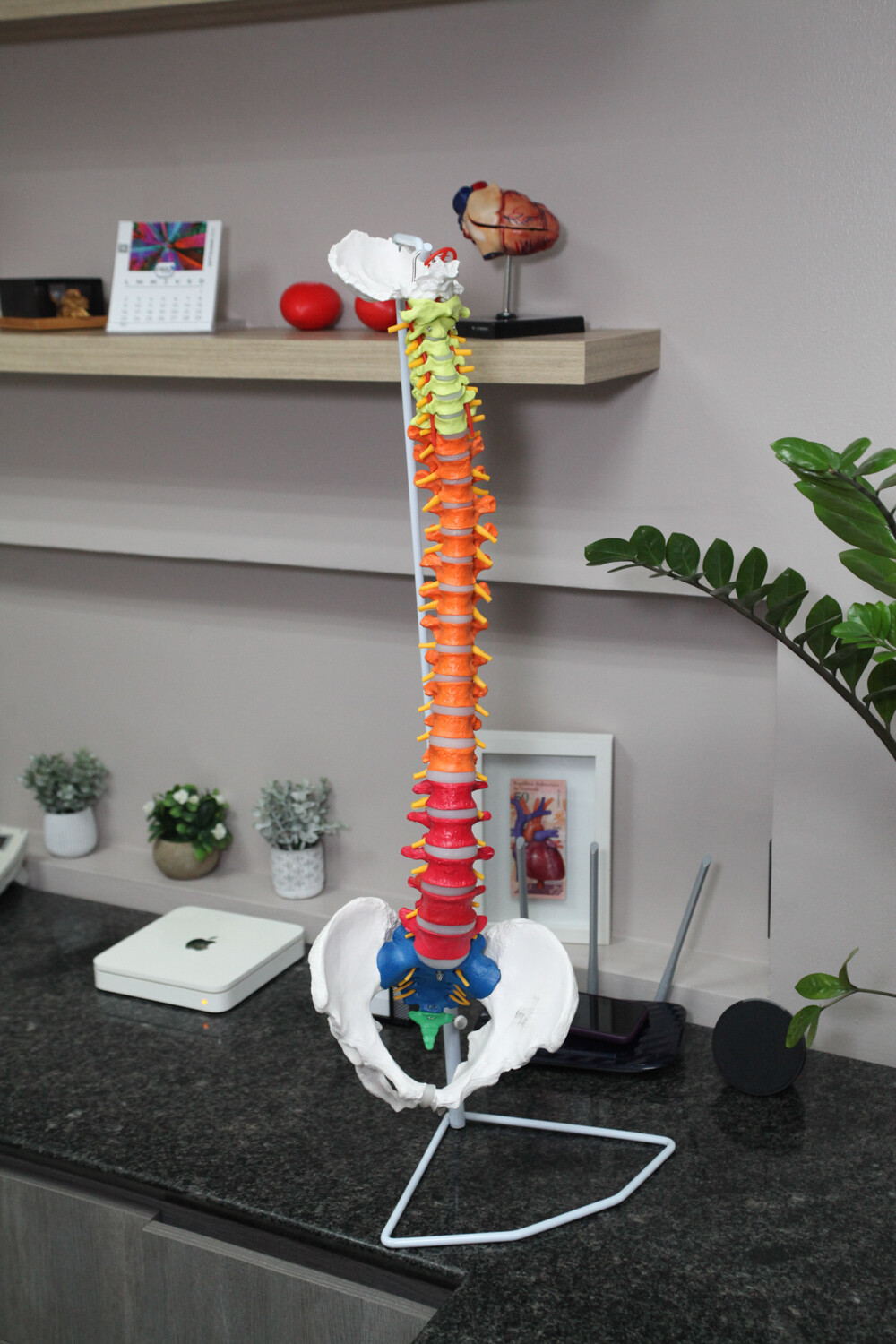 Drive Tech Advisors - Foto - Dr. Armando Pineda - Cirujano Ortopedico - Cirugia de Columna